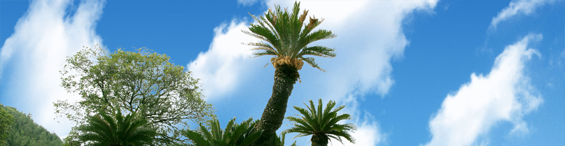 我命在我不在天 ，延長(zhǎng)生命從有機(jī)生活開(kāi)始。