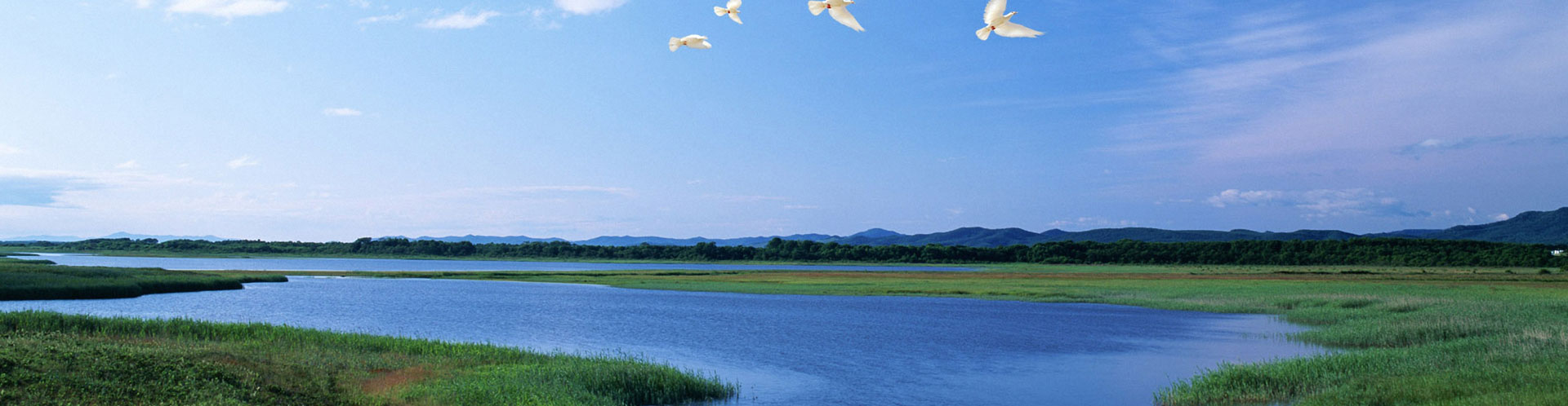 我們來(lái)于大自然，我們敬畏大自然，我們善待大自然。