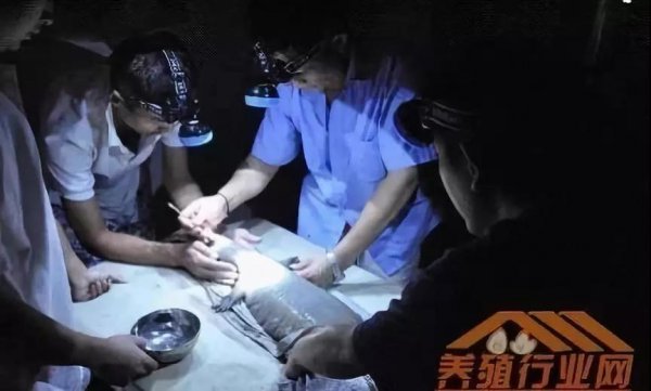 資本試水區(qū)塊鏈生物科技+大健康，場(chǎng)景應(yīng)用時(shí)代已然來(lái)臨！