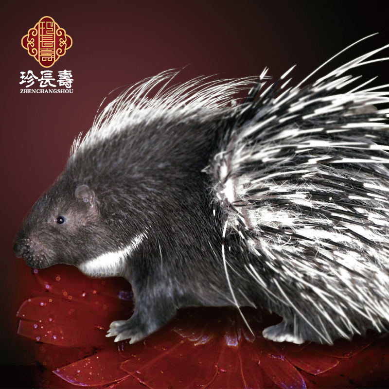 【有機(jī)認(rèn)證】周身是寶，不是豬的“豬”（長(zhǎng)生淀基地年產(chǎn)量1萬(wàn)頭）