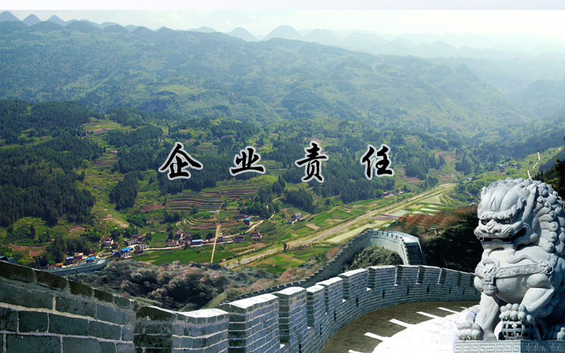 企業(yè)責任1.jpg